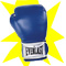 Fight With Finesse logo link photo